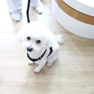알럽은서님이 올린 리뷰 사진 2
