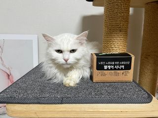 언제나님이 올린 리뷰 사진 1