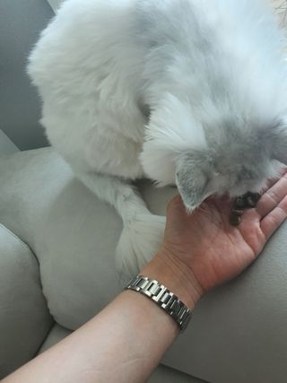 이수빈님이 올린 리뷰 사진 3
