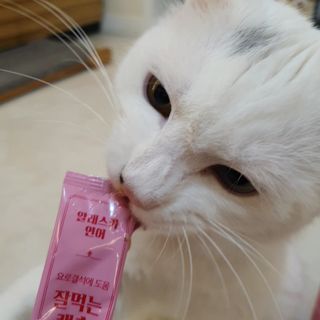 페페로니 잘 먹는 캣츄 - 알래스카 연어 24개입 — 5점을 준 리뷰어가 2021년 9월 올린 사용 사진