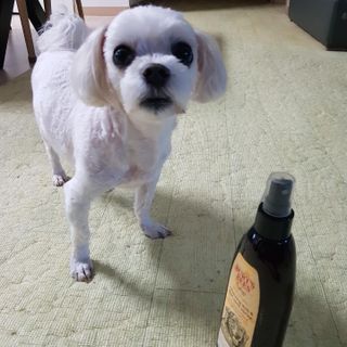 쓸언니님이 올린 리뷰 사진 1