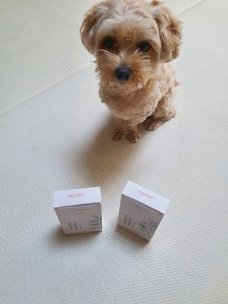 아코맘님이 올린 리뷰 사진 4