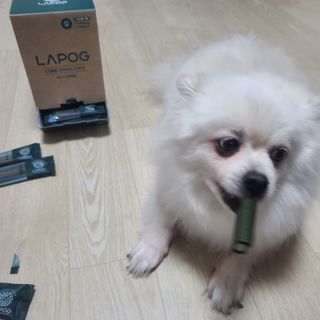 [푸디웜] 라포그 코어덴탈츄 그린 대용량ver (40개입) — 5점을 준 리뷰어가 2022년 10월 올린 사용 사진
