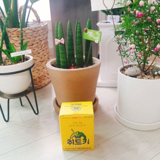 차스타님이 올린 리뷰 사진 2