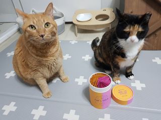 페페로니 맛있는 스틱 - 무항생제 닭고기 15개 + 알래스카 연어 15개 — 5점을 준 리뷰어가 2021년 8월 올린 사용 사진