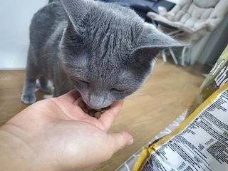 보리엄마님이 올린 리뷰 사진 3