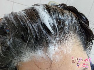 방방곳곳 편림초 마이크로바이옴 샴푸 — 4점을 준 리뷰어가 2022년 6월 올린 사용 사진