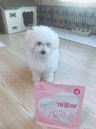 My Pet Care 천연단백질 관절건강에 개좋아 — 5점을 준 리뷰어가 2021년 2월 올린 사용 사진