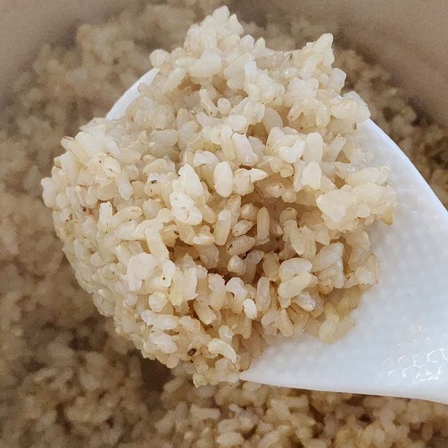 모멘토 솥밥이 맛있어지는 라이스쿠커 리뷰 사진