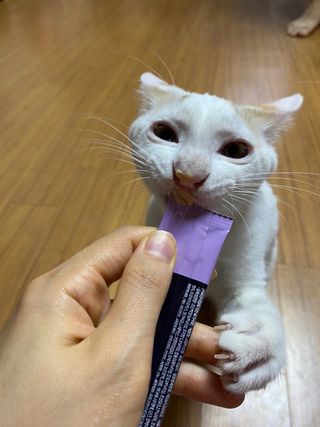 코코몰리 고양이 구강• 헤어볼 데일리 /신장• 요로 데일리 — 5점을 준 리뷰어가 2021년 1월 올린 사용 사진