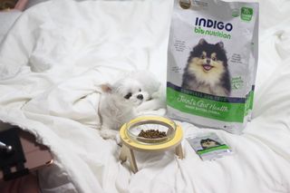 희온느님이 올린 리뷰 사진 1