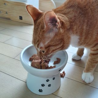 Dal님이 올린 리뷰 사진 1