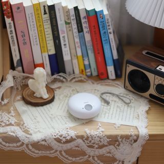 레비올라님이 올린 리뷰 사진 2
