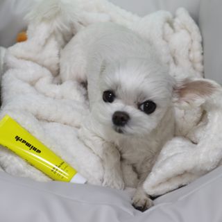 희온느님이 올린 리뷰 사진 4