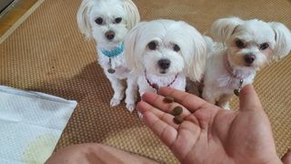 공팔리터님이 올린 리뷰 사진 2