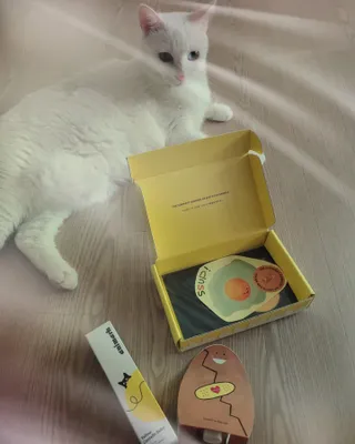 대박이님이 올린 리뷰 사진 1