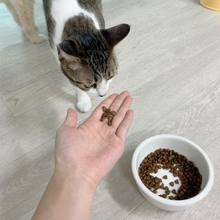 예나님이 올린 리뷰 사진 1