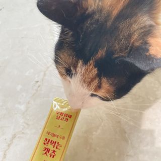 페페로니 잘 먹는 캣츄 - 무항생제 닭고기 24개입 — 5점을 준 리뷰어가 2021년 7월 올린 사용 사진