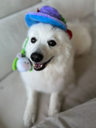 오로라님이 올린 리뷰 사진 2
