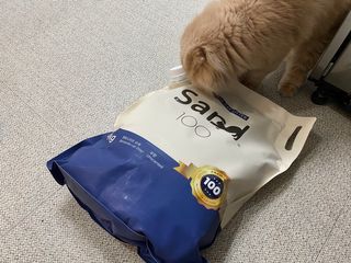 [샌드백] 프리미엄 벤토나이트 고양이모래 — 5점을 준 리뷰어가 2020년 12월 올린 사용 사진