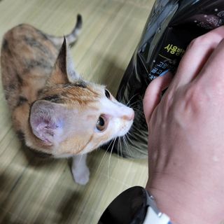 망구님이 올린 리뷰 사진 1
