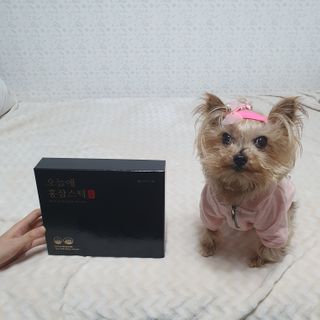솜희님이 올린 리뷰 사진 4