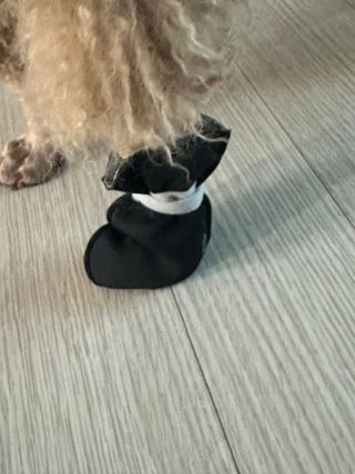 하니에요님이 올린 리뷰 사진 1