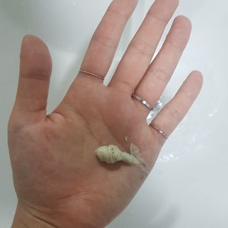 IO 아이오 오늘도 넌 눈부셔 - 데일리 스크럽 클렌징폼 — 5점을 준 리뷰어가 2021년 2월 올린 사용 사진
