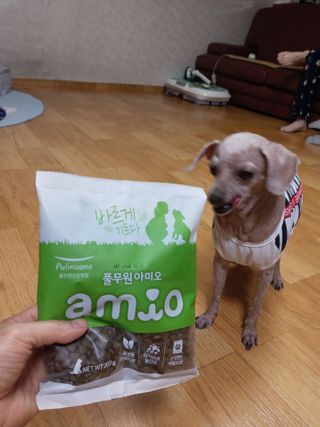 쪼꼬사랑이언니님이 올린 리뷰 사진 1