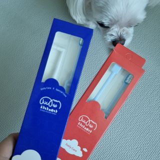 제잉님이 올린 리뷰 사진 3