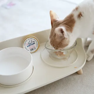 별담은달님이 올린 리뷰 사진 2