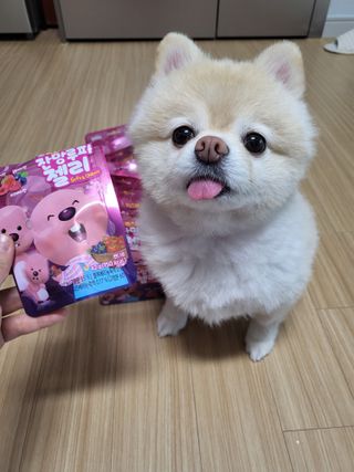 [팔도] 잔망루피젤리 믹스베리맛 42g 8개 — 5점을 준 리뷰어가 2022년 2월 올린 사용 사진