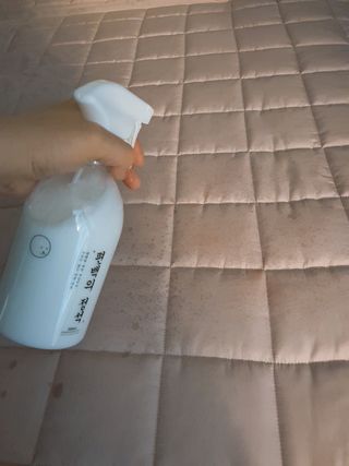 편백의정석 편백의 정석, 피톤치드스프레이 살균 천연 탈취제 집먼지 진드기 이불 침대 매트리스 새집중후군 천연 살균제 — 5점을 준 리뷰어가 2021년 3월 올린 사용 사진
