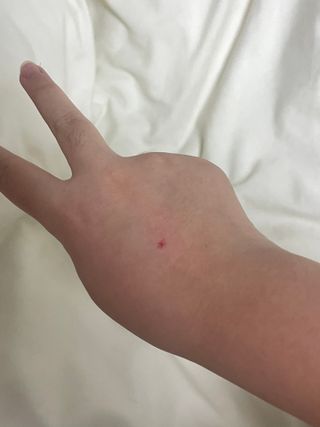 디에님이 올린 리뷰 사진 2