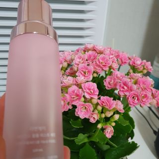 hosu.1230님이 올린 리뷰 사진 4