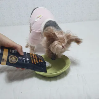 솜희님이 올린 리뷰 사진 2
