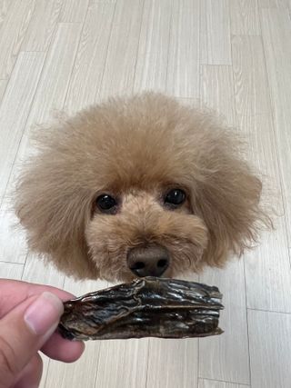 코끼리님이 올린 리뷰 사진 3