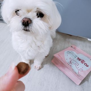 My Pet Care 천연단백질 관절건강에 개좋아 — 5점을 준 리뷰어가 2021년 2월 올린 사용 사진
