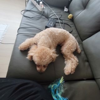 또롱님이 올린 리뷰 사진 1