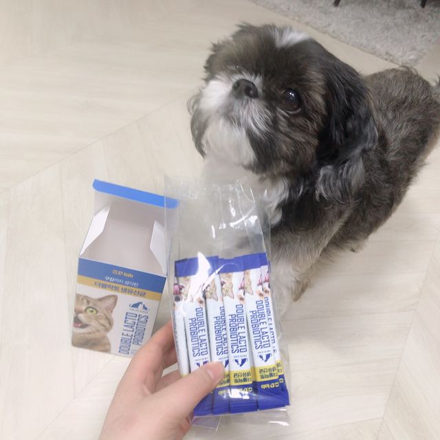 장 건강과 구강 건강을 한 번에 더블락토 강아지 고양이 유산균 리뷰 사진