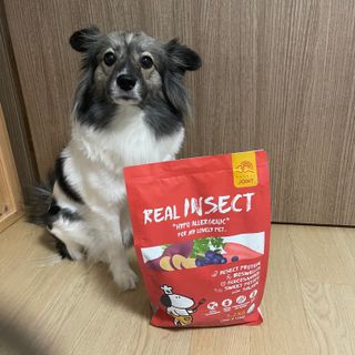 [푸디웜] 라포그  리얼인섹트 관절 저알러지 강아지 사료  1.2KG — 5점을 준 리뷰어가 2022년 8월 올린 사용 사진