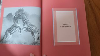 품는향기님이 올린 리뷰 사진 2