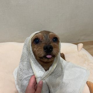 세지니힛님이 올린 리뷰 사진 2