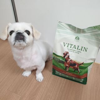 영국 바이탈린 강아지 애견사료 2kg — 5점을 준 리뷰어가 2021년 6월 올린 사용 사진