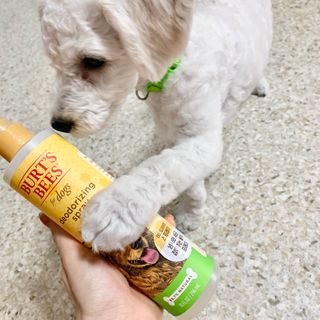 cherry님이 올린 리뷰 사진 2
