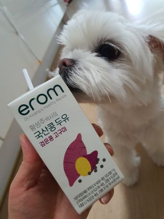 뽀오오옹님이 올린 리뷰 사진 2