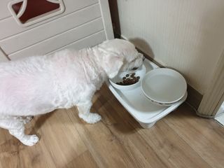 진진이님이 올린 리뷰 사진 3
