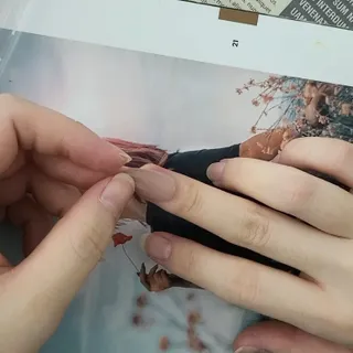 데싱디바 매직프레스 가을매니 코핀 5종 중 택1 — 5점을 준 리뷰어가 2021년 9월 올린 사용 사진