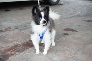 롤리팝님이 올린 리뷰 사진 3