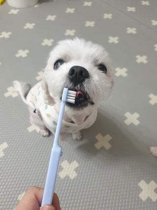 뽀야님이 올린 리뷰 사진 1